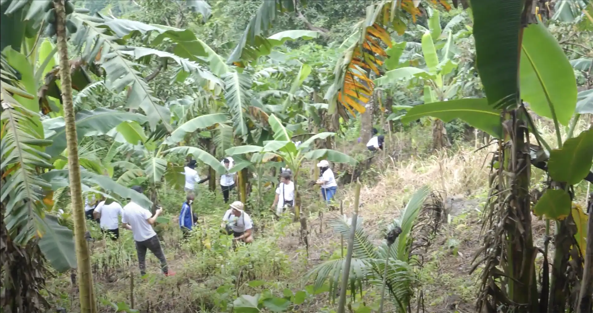 Inpiro news inspiro napocor moa signing screenshot 2023 11 13 at 6.22.10 pm