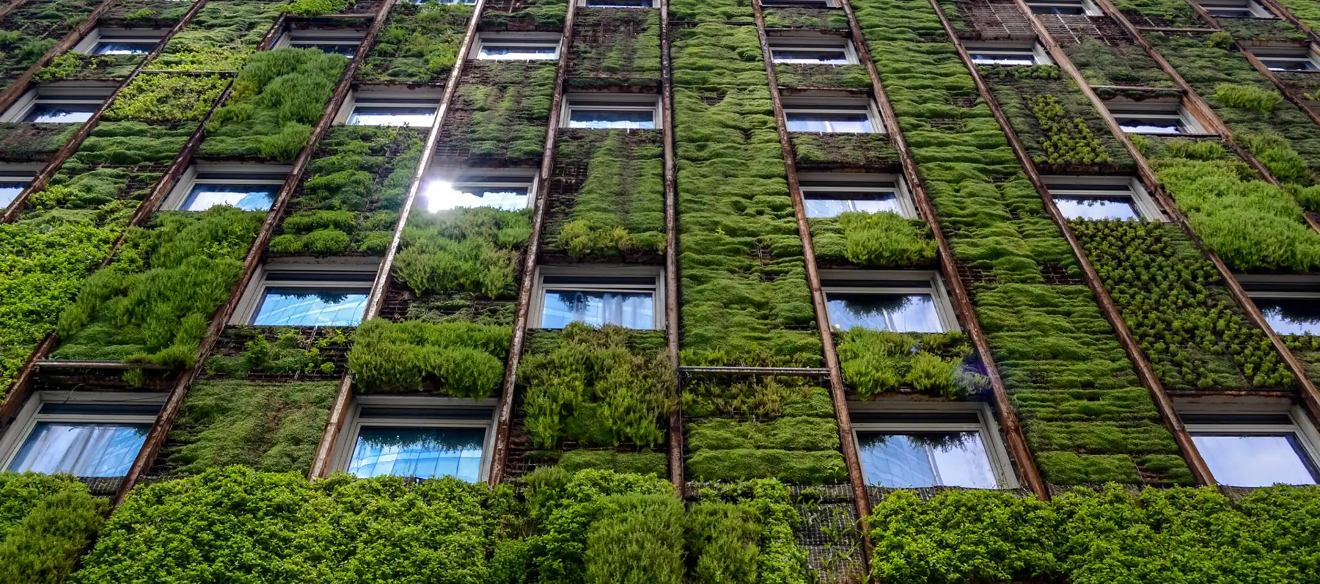 Inspiro hero image governance