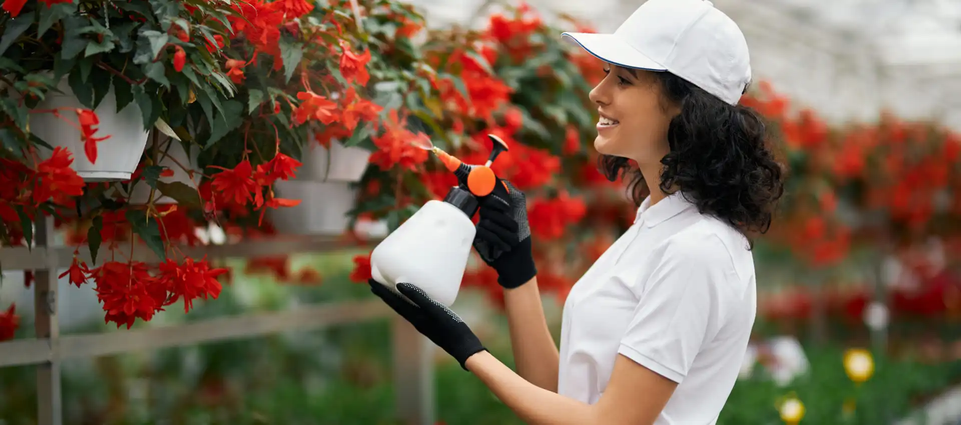 Inspiro stock image shutterstock 2117376986